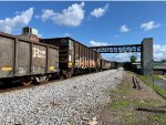 MWCX 101557